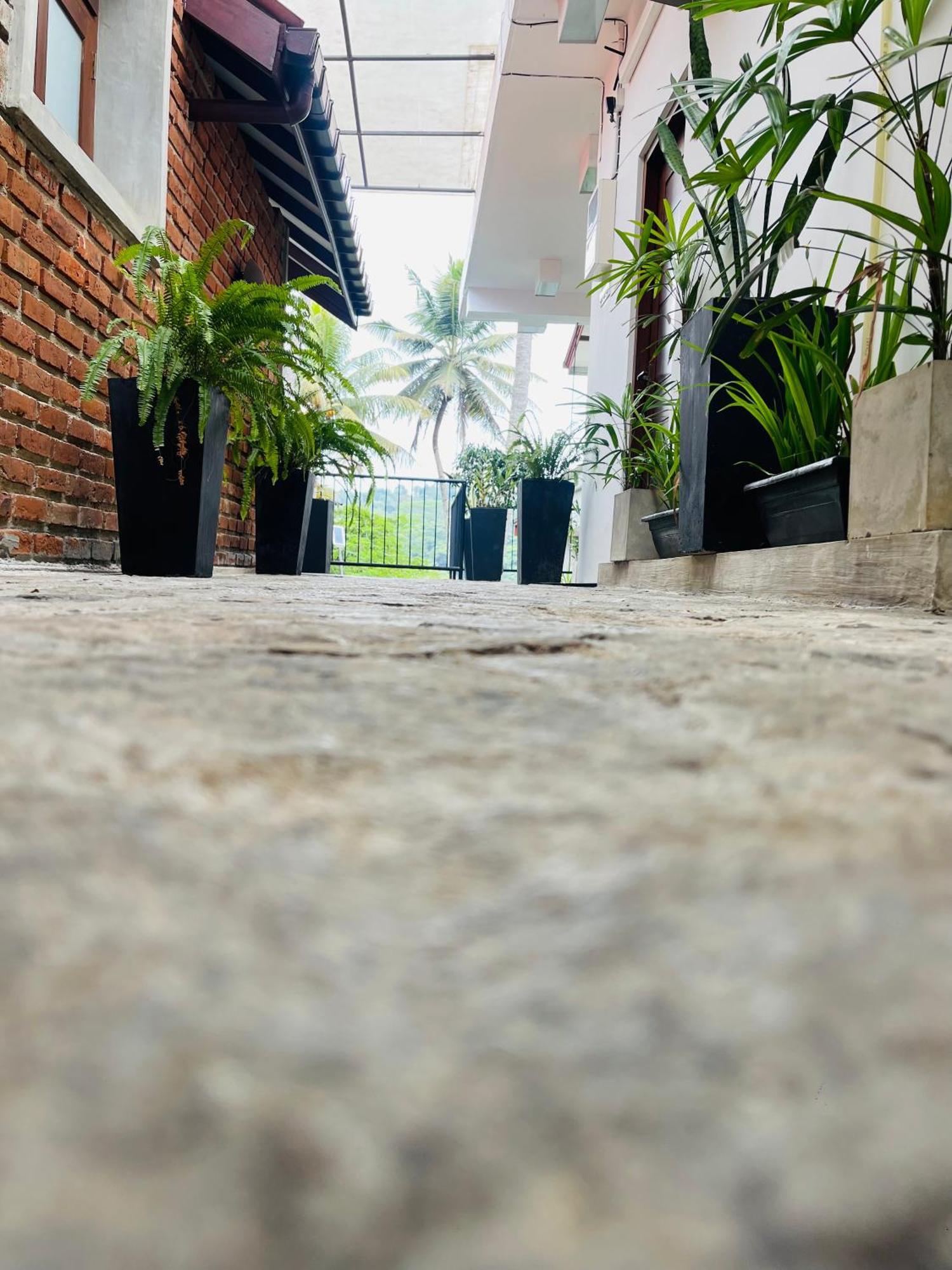 Lavish Homestay